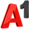 A1