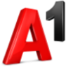 A1